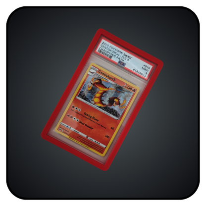 Graded Card Shield Bumpers (PSA) - Koda Cards