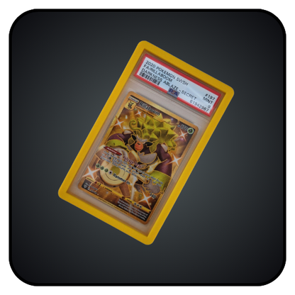 Graded Card Shield Bumpers (PSA) - Koda Cards