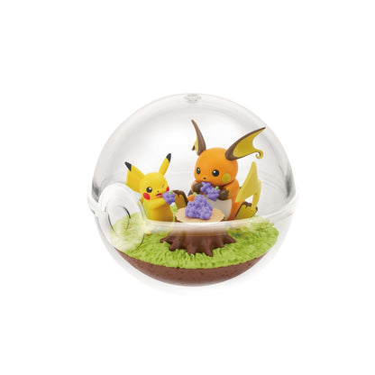 Pokemon Home: Terrarium Collection 14 - 6 Types